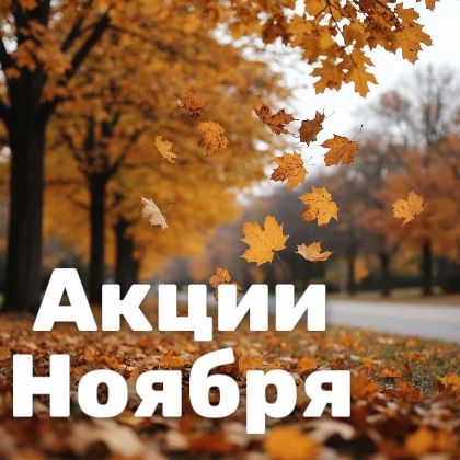 Акции ноября