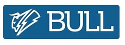 Bull