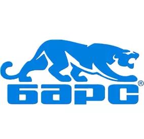Барс Барс
