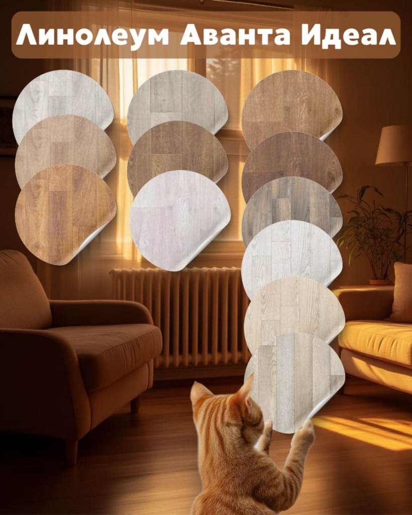 avanta_action.jpg avanta_action.jpg