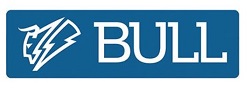 Bull